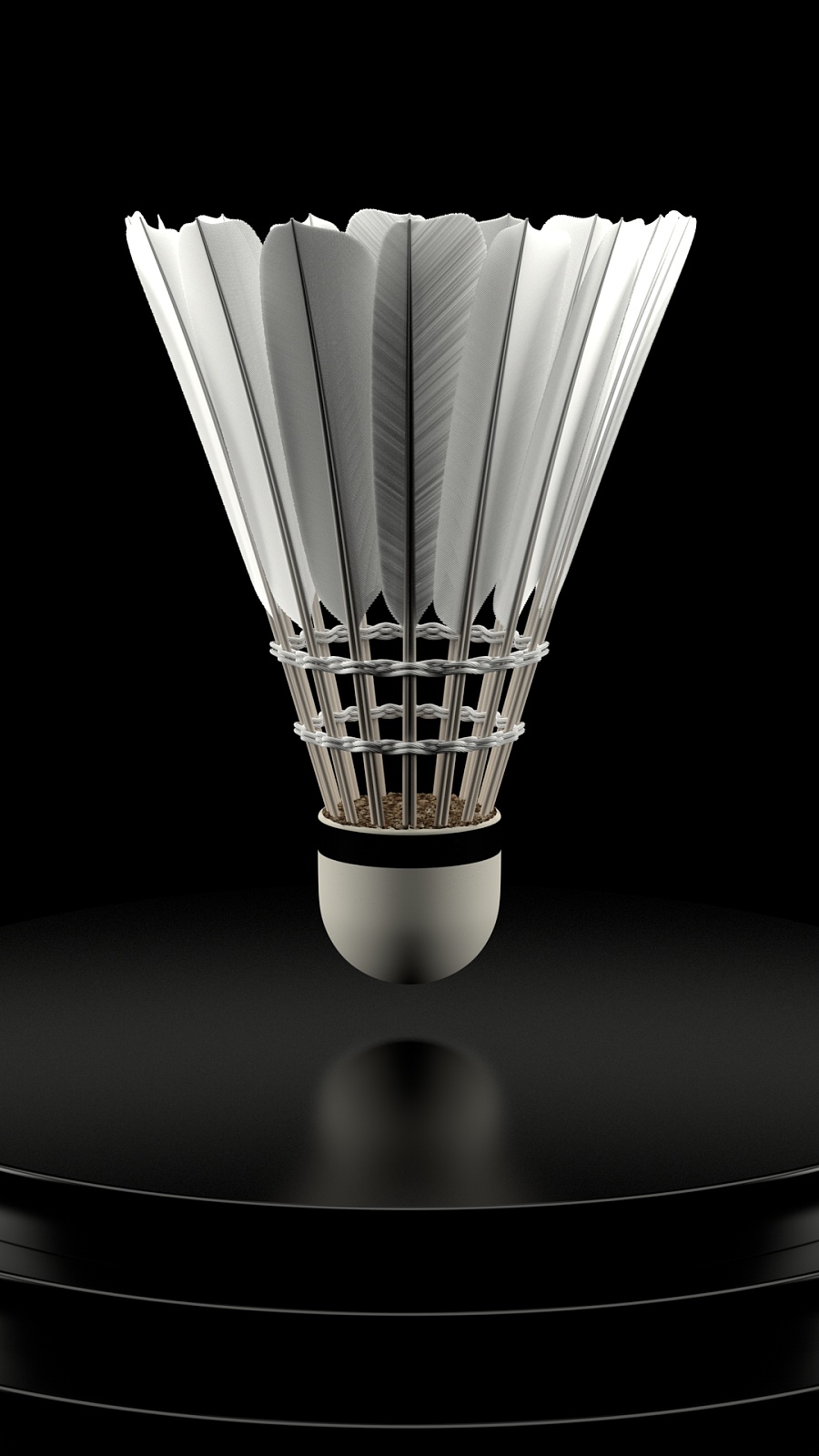 生的身体素 生的身体素