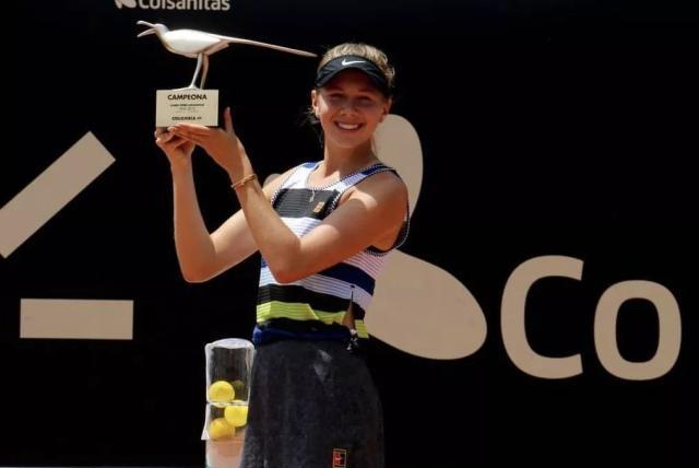 技术素养 技术素养