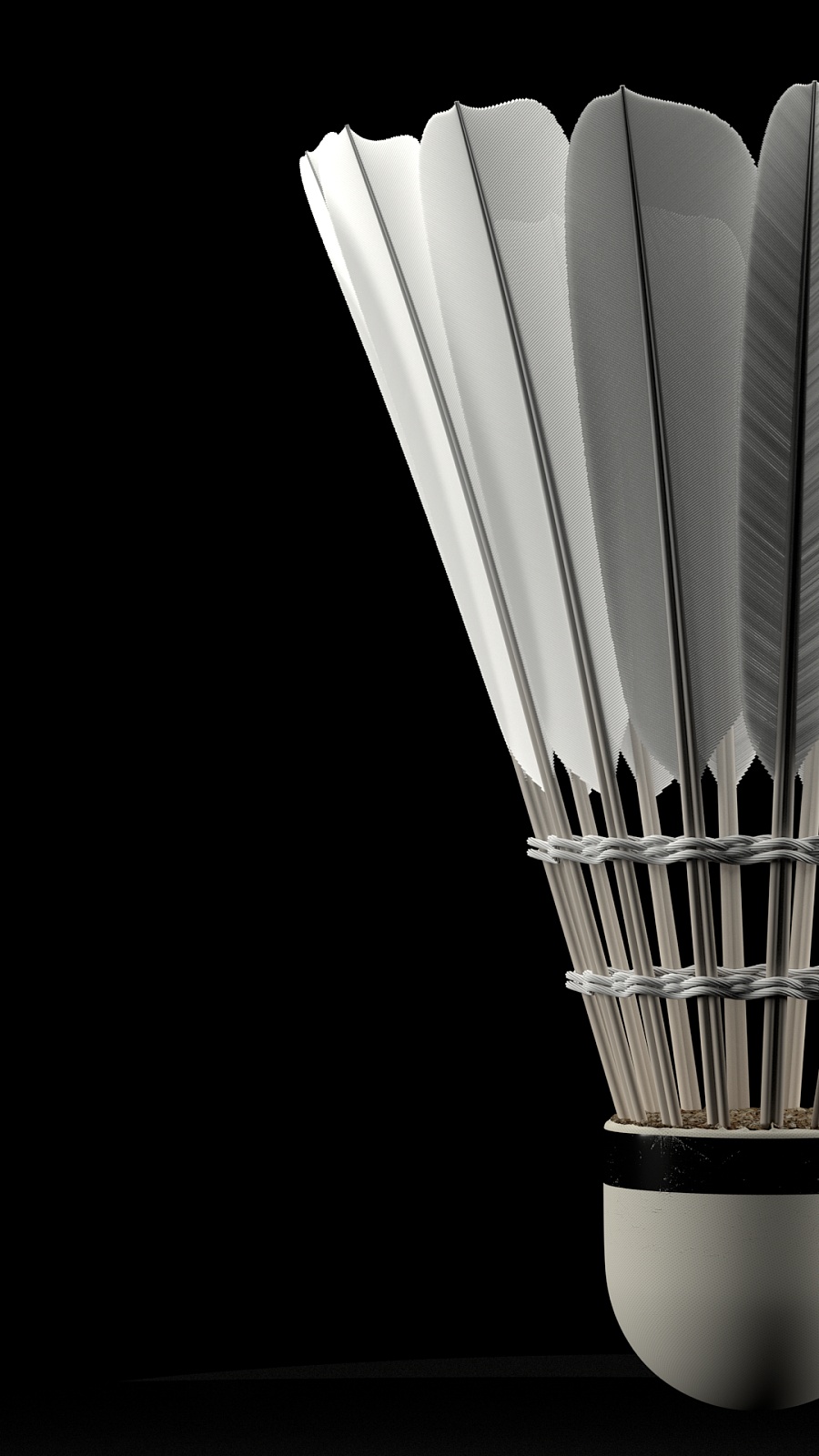 其他年轻球 其他年轻球