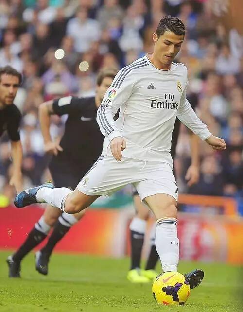 将促使羽毛 将促使羽毛